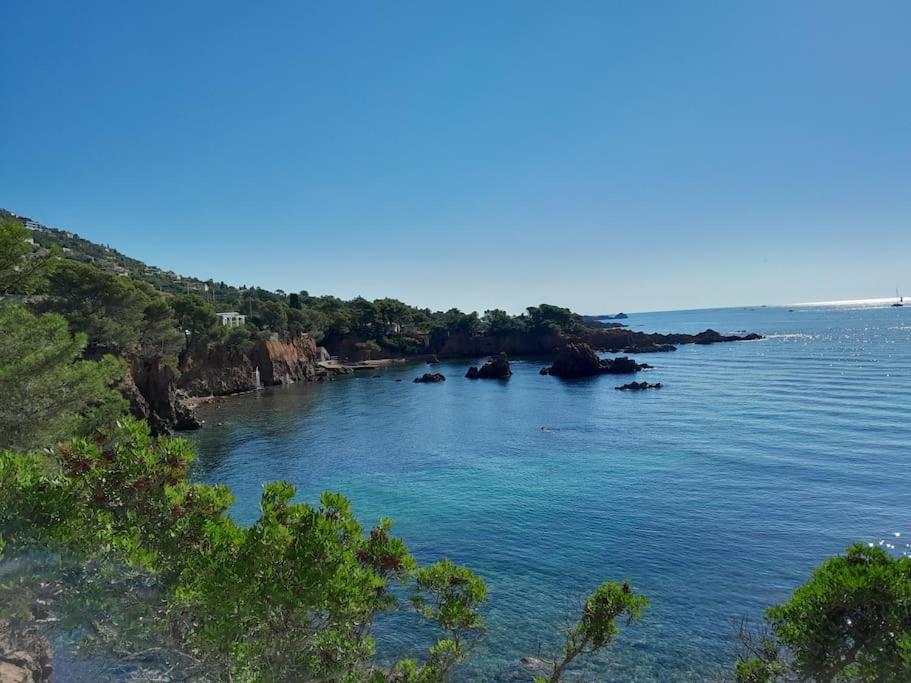 Charmant Studio Lumineux Avec Parking Prive Saint-Raphael  Bagian luar foto