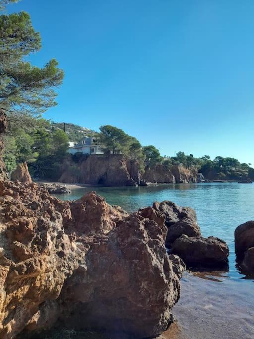 Charmant Studio Lumineux Avec Parking Prive Saint-Raphael  Bagian luar foto
