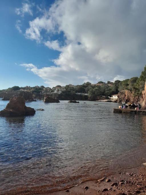 Charmant Studio Lumineux Avec Parking Prive Saint-Raphael  Bagian luar foto
