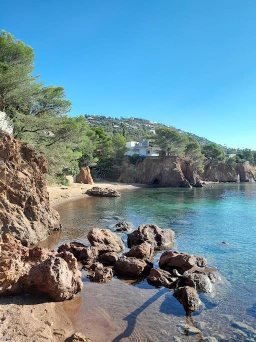 Charmant Studio Lumineux Avec Parking Prive Saint-Raphael  Bagian luar foto