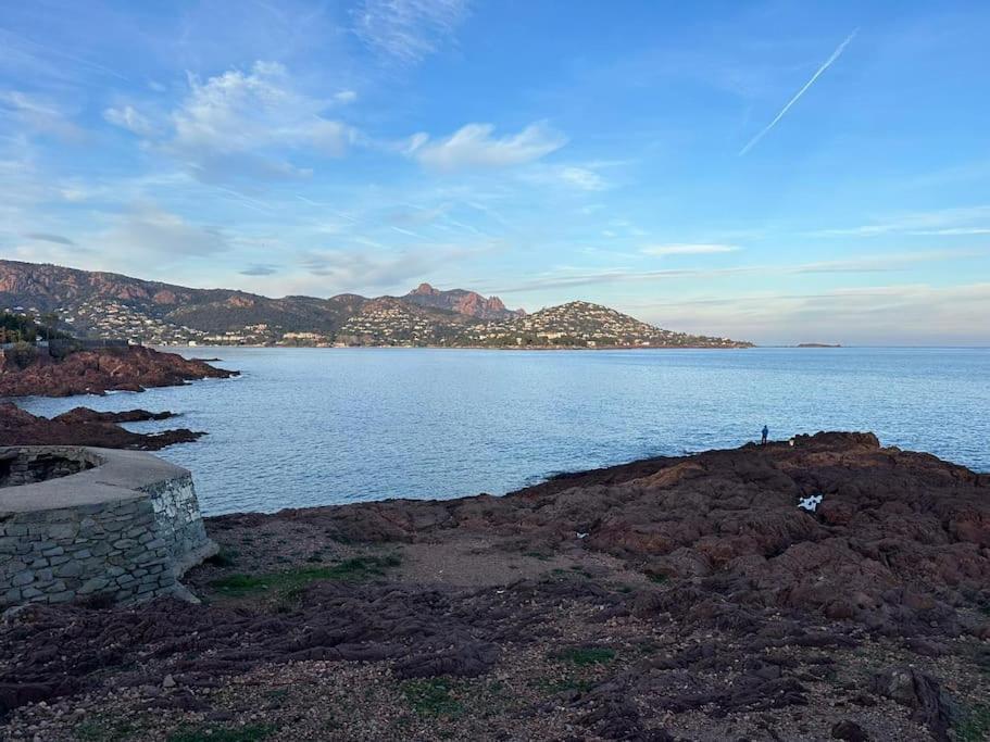 Charmant Studio Lumineux Avec Parking Prive Saint-Raphael  Bagian luar foto